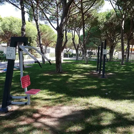 Passarinhos * Albufeira