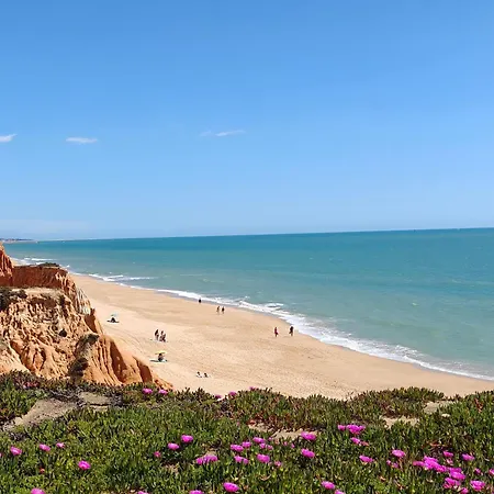 Apartment Passarinhos Albufeira