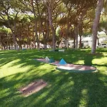 Passarinhos * 알부페이라